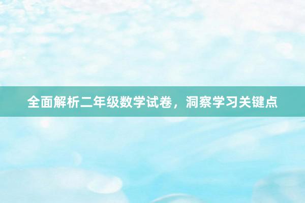 全面解析二年级数学试卷，洞察学习关键点